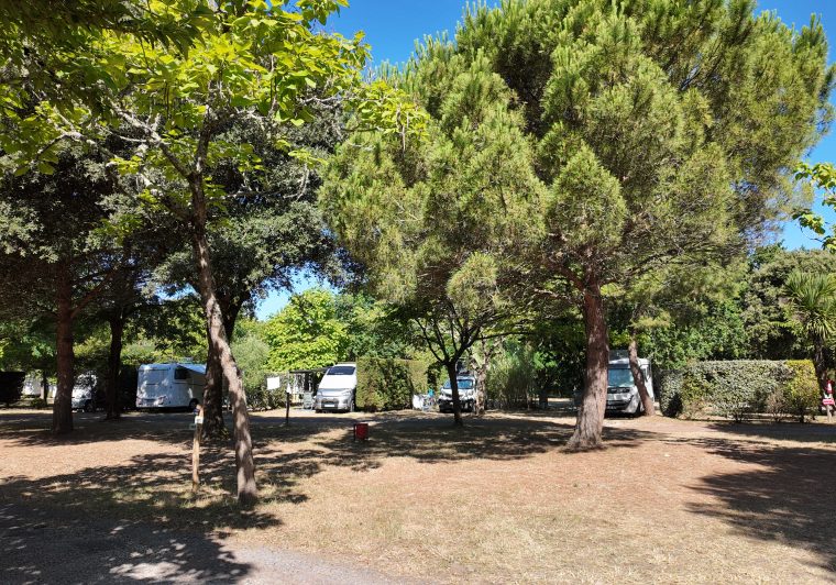 Camping pitches