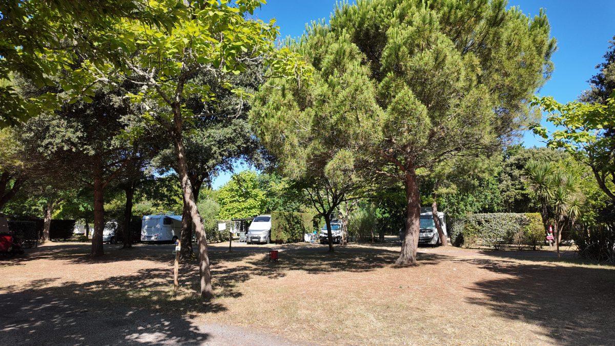 Find us in the center of Île d'Oléron